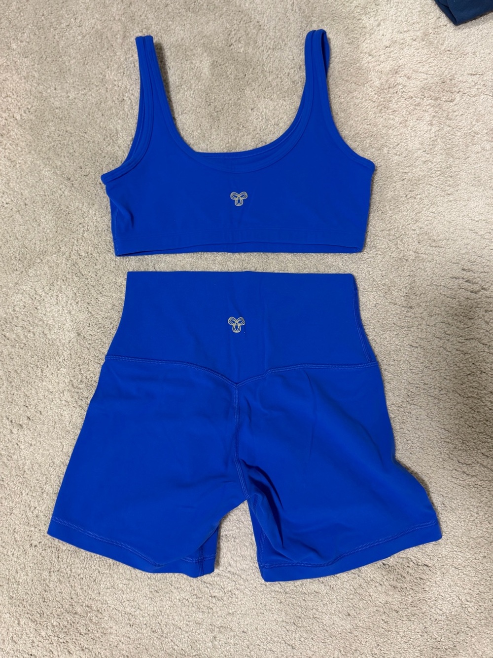 Aritzia TNA biker short set